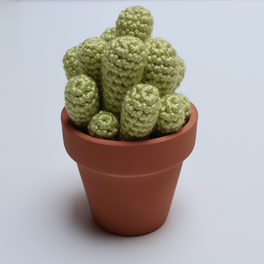 Crochet Fairy caslte Cactus