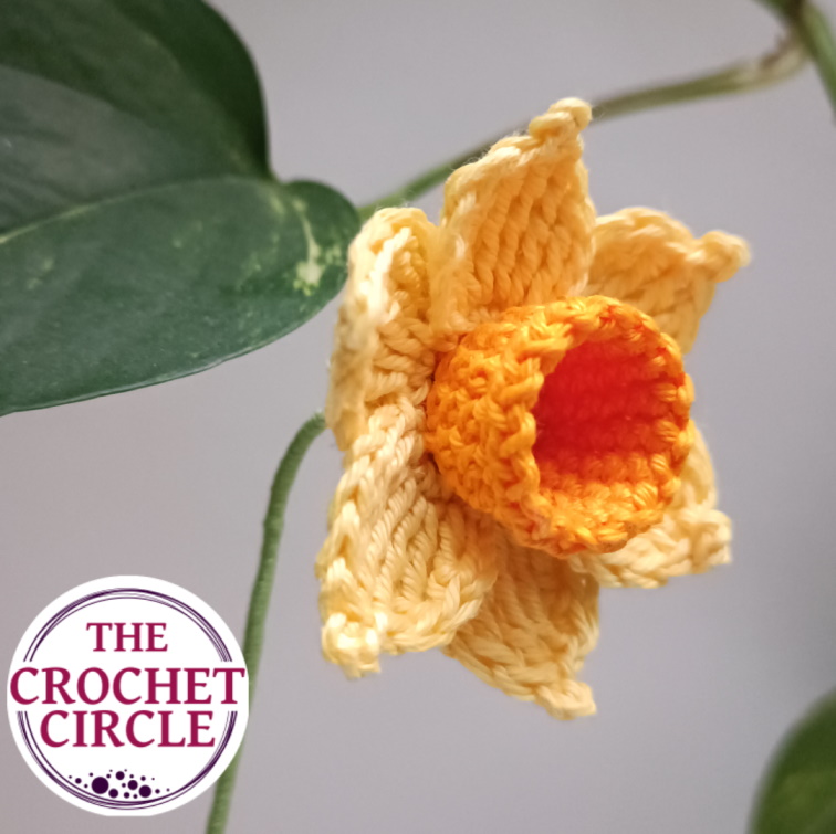 Crochet daffodil flower